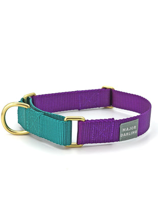 martingale collar / violet + teal