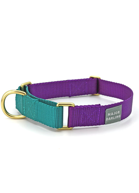 martingale collar / violet + teal