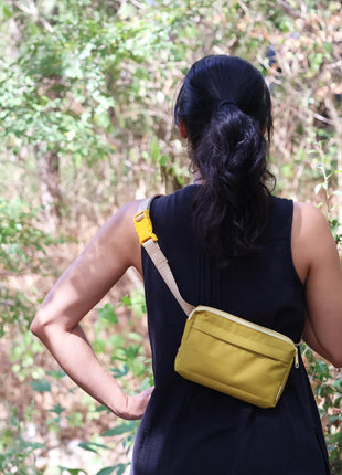 dog walking fanny pack