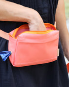 dog walking fanny pack