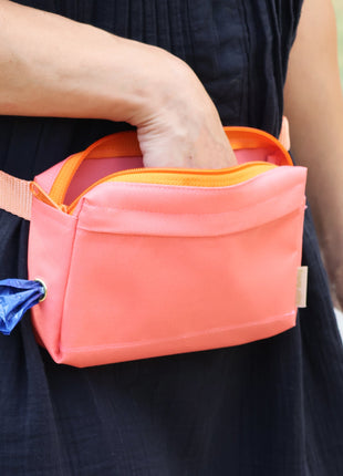 dog walking fanny pack