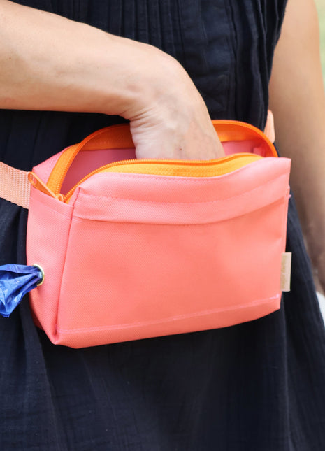 dog walking fanny pack