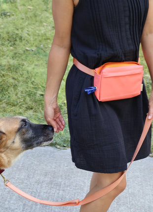 dog walking fanny pack