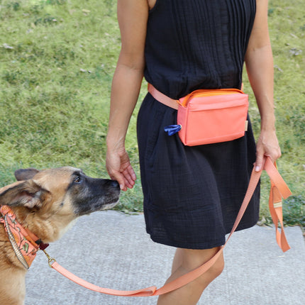 dog walking fanny pack