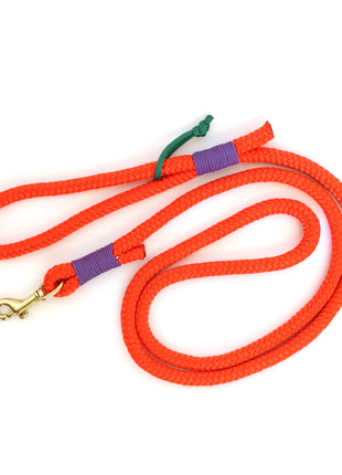rope dog leash