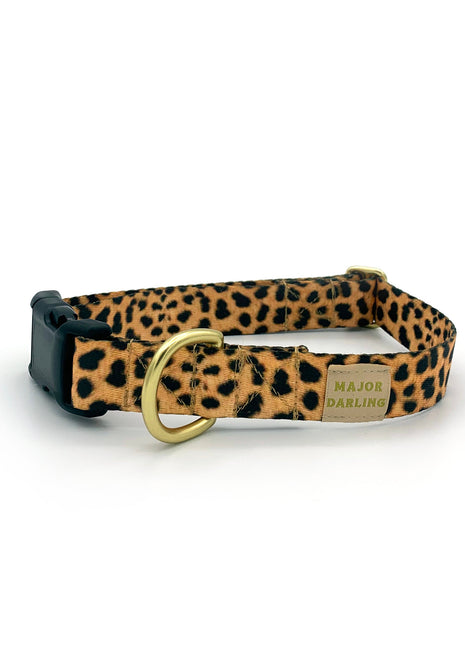 basic snap collar / printed