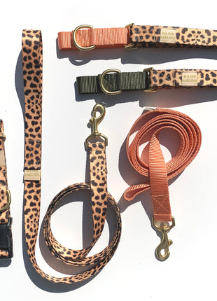martingale collar / leopard + peach