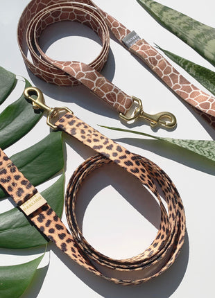 martingale collar / leopard + peach