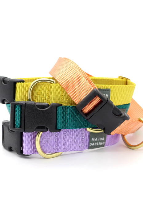 basic snap collar