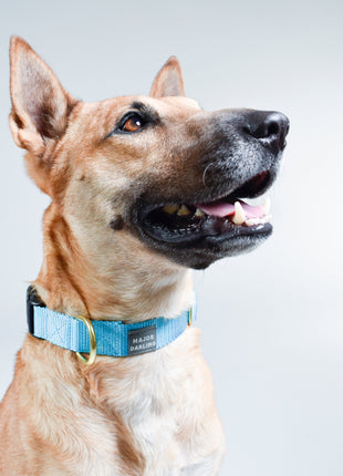 basic snap collar