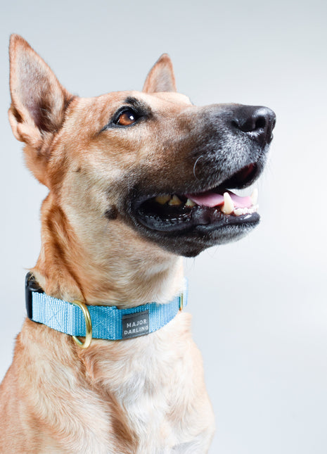 basic snap collar