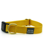 basic snap collar