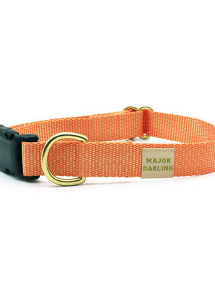 basic snap collar