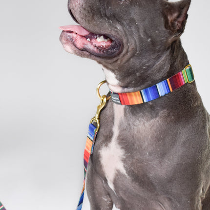 not-so-basic snap collar / serape
