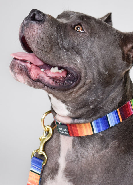 not-so-basic snap collar / serape