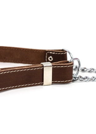 Martingale Chocolate Leather Dog Collar