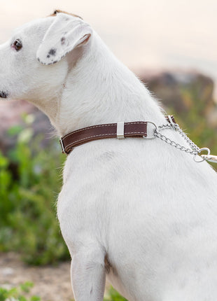 Martingale Chocolate Leather Dog Collar