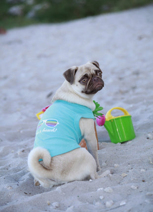 Parisian Pet 'Life's a Beach' Summer Dog T-Shirt – Comfortable Beach-Themed Pet Clothing for Dogs & Cats, Light Blue