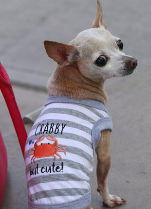Parisian Pet 'Crabby But Cute Tee' Embroidered Dog Shirt - Trendy Pet Apparel for Dogs & Cats, Gray and White Stripes