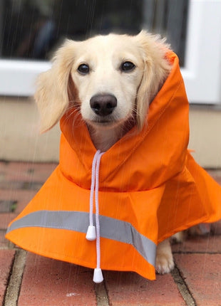 Parisian Pet 'Orange Raincoat' for Dogs & Cats, Waterproof Pet Outerwear, Dog Raincoat for Rain, Pet Rain Protection, Orange