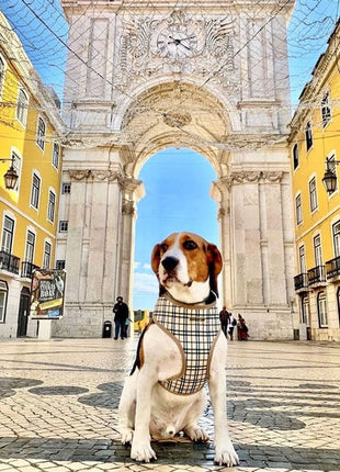 Parisian Pet 'Freedom Harness Khaki Plaid' for Dogs & Cats – Comfortable and Adjustable Dog Harness, Stylish Khaki Plaid Design