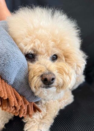 THE MAGIC MITT Dual-Sided Microfiber Grooming Mitt for Dogs & Cats — Use with Waterless Shampoo