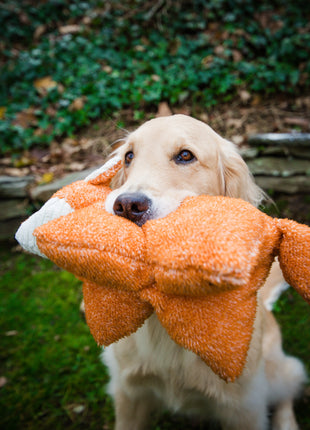 Squooshie™ Fox Plush Dog Toy