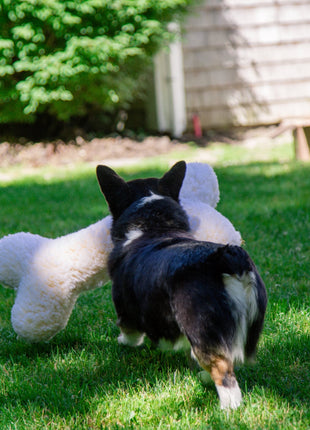 HuggleFleece® 2' Plush Bone Dog Toy