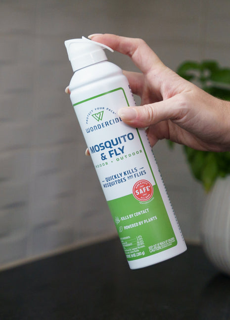 Mosquito & Fly for Indoor + Outdoor