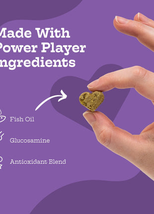 Hip & Joint Chews