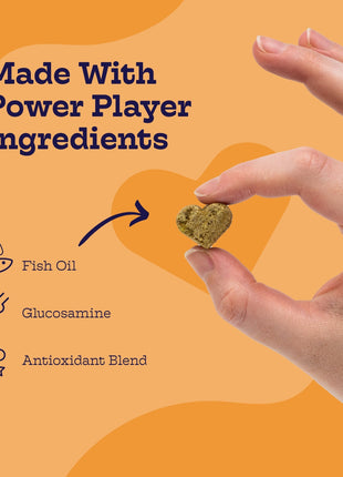 Multi-Plus Chews