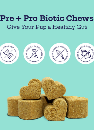 Pre + Pro Biotic Chews