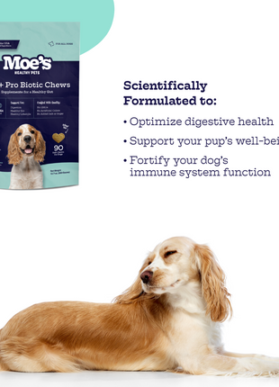 Pre + Pro Biotic Chews