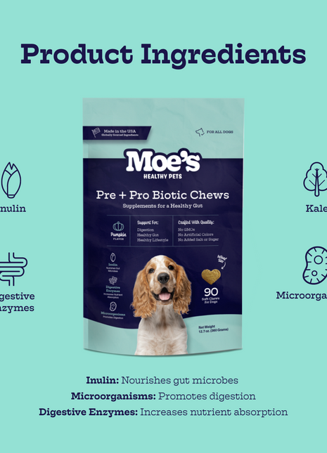 Pre + Pro Biotic Chews