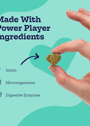 Pre + Pro Biotic Chews
