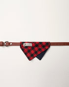 Nooee Pet Collar Daisy