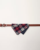 Nooee Pet Collar Daisy