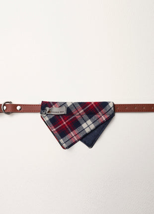 Nooee Pet Collar Daisy