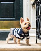 ‘Gene’ Cashmere blend Polo