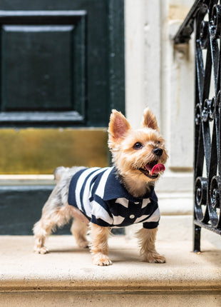 ‘Gene’ Cashmere blend Polo