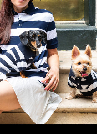 ‘Gladys’ Cashmere blend Polo Dress