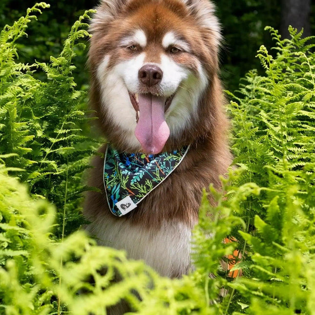 Magical Fern Forest Dog Bandana