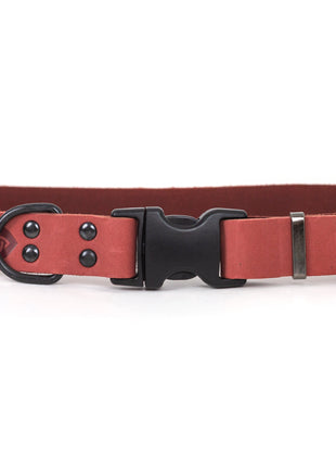 Celtic Sport Coral Reef Leather Dog Collar