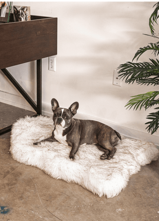 PupRug by Paw.com® Faux Fur Orthopedic Dog Bed - Curve White with Brown Accents