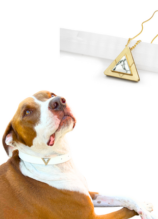 Starlight Howl Match Your Pet Gift Box Set