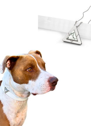 Starlight Howl Match Your Pet Gift Box Set