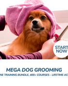 Mega Dog Grooming Online Training Bundle, 400+ Courses - Lifetime Access