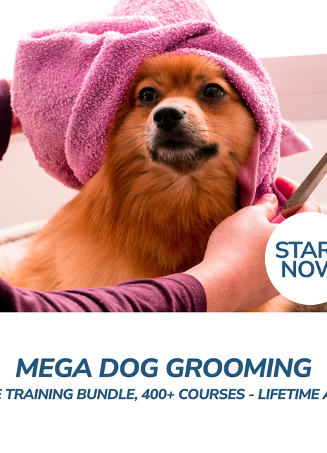 Mega Dog Grooming Online Training Bundle, 400+ Courses - Lifetime Access