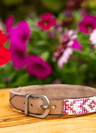 Melrose Sambboho cat collar