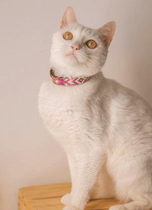 Melrose Sambboho cat collar